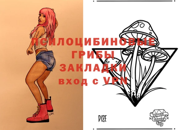 марки nbome Каменка